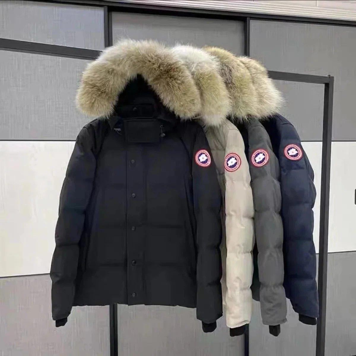 时尚羽绒服(W2C-006)